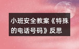 小班安全教案《特殊的電話號碼》反思