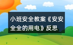 小班安全教案《安安全全的用電》反思