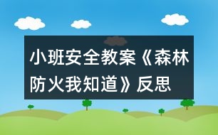 小班安全教案《森林防火我知道》反思