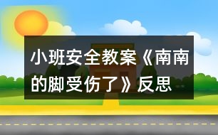 小班安全教案《南南的腳受傷了》反思