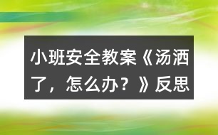 小班安全教案《湯灑了，怎么辦？》反思