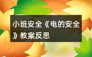 小班安全《電的安全》教案反思