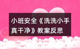 小班安全《洗洗小手真干凈》教案反思