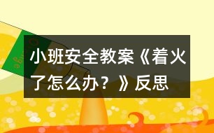 小班安全教案《著火了怎么辦？》反思