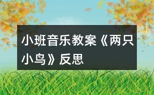 小班音樂教案《兩只小鳥》反思