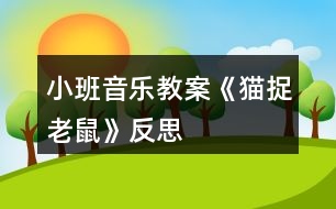 小班音樂教案《貓捉老鼠》反思