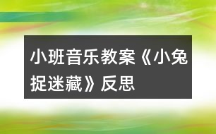 小班音樂教案《小兔捉迷藏》反思