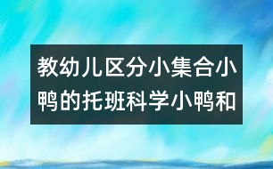 教幼兒區(qū)分小集合小鴨的托班科學(xué)：小鴨和小雞