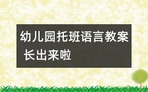 幼兒園托班語(yǔ)言教案： 長(zhǎng)出來(lái)啦