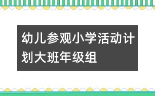 幼兒參觀小學(xué)活動計(jì)劃——大班年級組