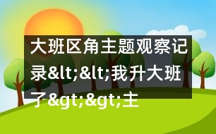 大班區(qū)角主題觀察記錄：<<我升大班了>>主題反思