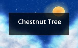 Chestnut Tree