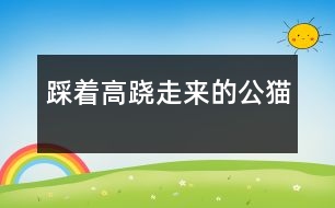 踩著高蹺走來的公貓