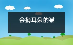 會(huì)捎耳朵的貓