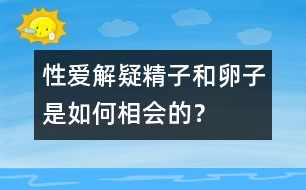 性愛解疑：精子和卵子是如何相會的？