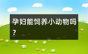 孕婦能飼養(yǎng)小動物嗎？