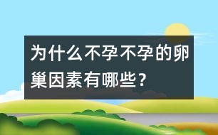 為什么不孕：不孕的卵巢因素有哪些？