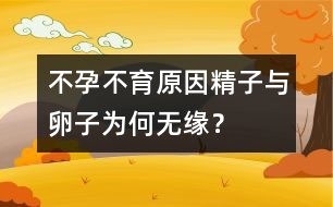 不孕不育原因：精子與卵子為何無緣？