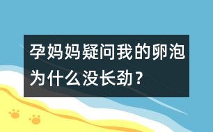 孕媽媽疑問：我的卵泡為什么沒長勁？