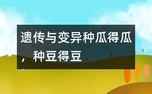 遺傳與變異：種瓜得瓜，種豆得豆