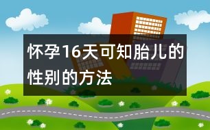 懷孕16天可知胎兒的性別的方法