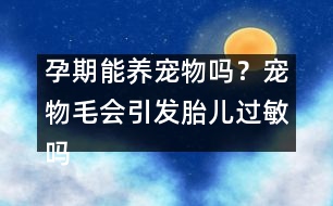 孕期能養(yǎng)寵物嗎？寵物毛會(huì)引發(fā)胎兒過(guò)敏嗎？