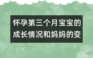 懷孕第三個月寶寶的成長情況和媽媽的變化參數(shù)