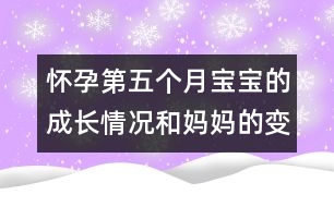 懷孕第五個(gè)月寶寶的成長(zhǎng)情況和媽媽的變化