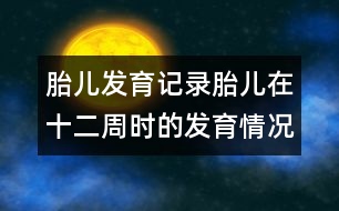 胎兒發(fā)育記錄：胎兒在十二周時的發(fā)育情況