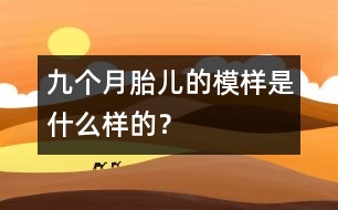 九個(gè)月胎兒的模樣是什么樣的？