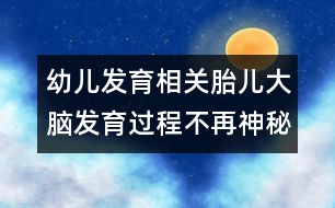 幼兒發(fā)育相關(guān)：胎兒大腦發(fā)育過(guò)程不再神秘