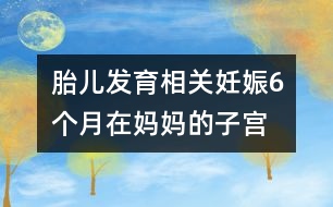 胎兒發(fā)育相關(guān)：妊娠6個(gè)月“在媽媽的子宮里，像在宇宙中遨游！”