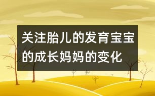 關(guān)注胎兒的發(fā)育：寶寶的成長(zhǎng)、媽媽的變化