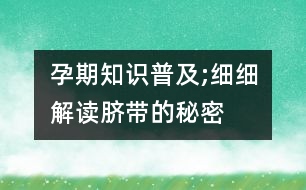 孕期知識普及;細細解讀臍帶的秘密