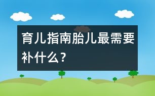 育兒指南：胎兒最需要"補(bǔ)"什么？