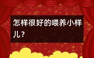 怎樣很好的喂養(yǎng)小樣兒？