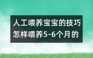 人工喂養(yǎng)寶寶的技巧：怎樣喂養(yǎng)5-6個月的寶寶