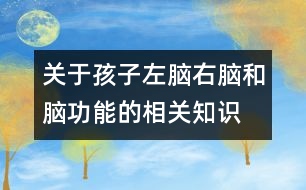 關(guān)于孩子左腦、右腦和腦功能的相關(guān)知識