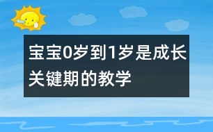 寶寶0歲到1歲是成長關(guān)鍵期的教學