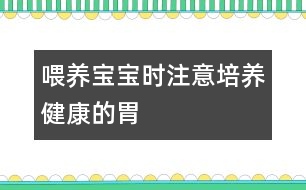 喂養(yǎng)寶寶時注意培養(yǎng)健康的胃