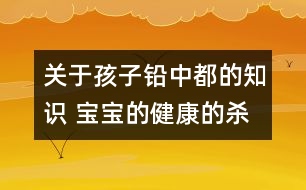 關于孩子鉛中都的知識 寶寶的健康的殺手