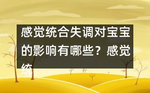 感覺(jué)統(tǒng)合失調(diào)對(duì)寶寶的影響有哪些？感覺(jué)統(tǒng)合很重要嗎 ？