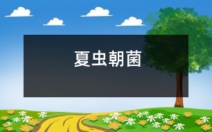 夏蟲(chóng)朝菌