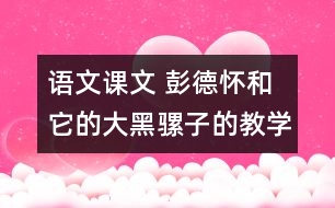 語(yǔ)文課文 彭德懷和它的大黑騾子的教學(xué)設(shè)計(jì) 課后習(xí)題答案