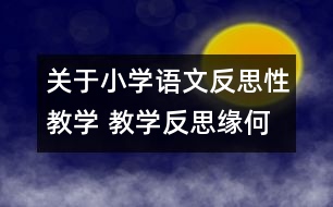 關(guān)于小學(xué)語文反思性教學(xué) 教學(xué)反思緣何起？