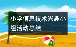 小學信息技術興趣小組活動總結