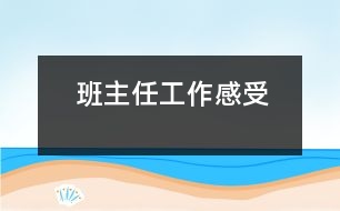 班主任工作感受