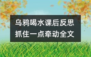 烏鴉喝水課后反思 抓住一點牽動全文