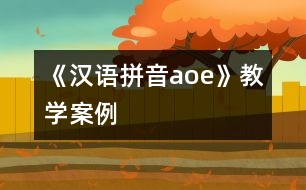 《漢語拼音a、o、e》教學(xué)案例