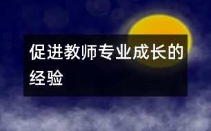 促進教師專業(yè)成長的經驗